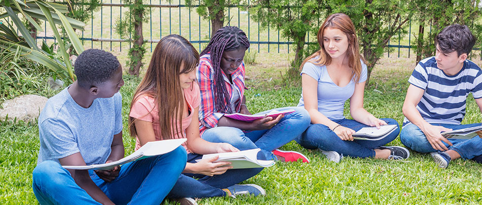 Group of multi ethnic teenagers seated on the lawn